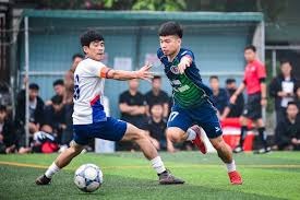 中国球员重返法甲赛场引发热议